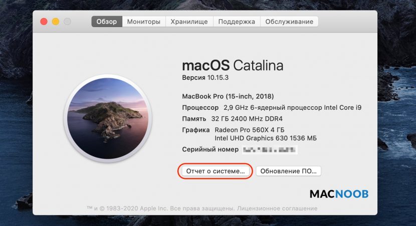отчёт о системе macOS