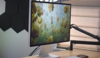 Монитор Apple